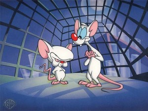 Create meme: pinky and brain take over the world, pinky and the brain animated series, pinky and the brain animated series footage