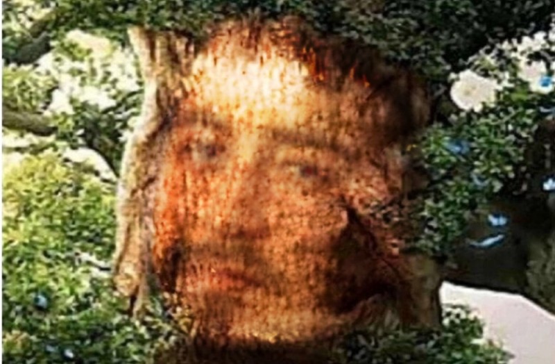 Создать мем: мистическое дерево с лицом, норик, qr код