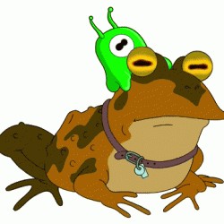 Создать мем: лягушка жаба, жаба футурама, жаба
