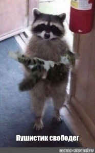 Create meme: enotice, raccoon