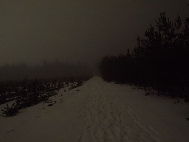 Create meme: forest snow , winter is dark, winter road