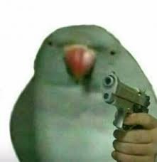 Create meme: a parrot with a gun, a parrot with a gun meme, a meme with a parrot and a gun