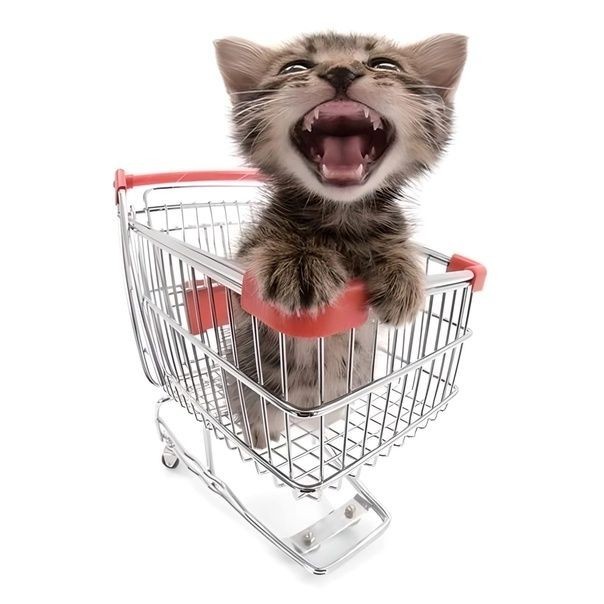 Создать мем: котик за покупками, котик с покупками, кот с тележкой
