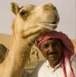 Создать мем: арабские люди, camel, араб на верблюде
