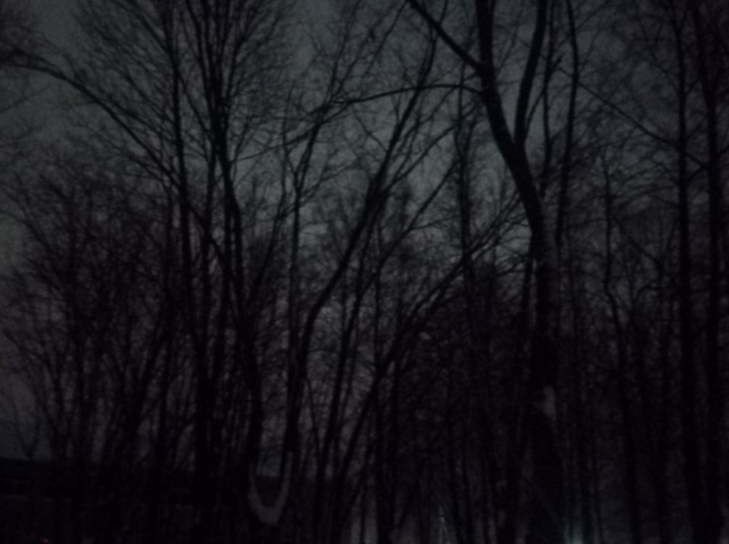Создать мем: темнота, мрачные фотографии, ночью в лесу