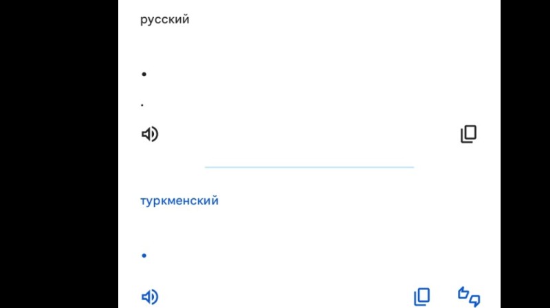 Создать мем: переводчик, переводчик с русского на азербайджанский, скриншот