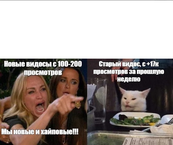 Create meme: memes with cats , memes with a cat at the table, memes with a cat and girls