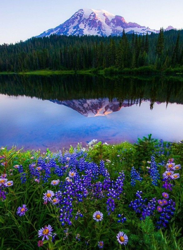 Create meme: the landscape is beautiful, beautiful lake, nature 