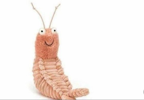 Create meme: plush shrimp, shrimp toy, jellycat shrimp