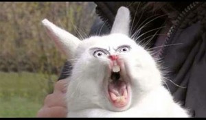Create meme: screaming Bunny meme, screaming rabbit, screaming hare