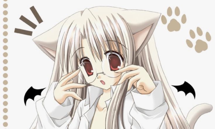 Create meme: anime , anime neko girl, anime neko