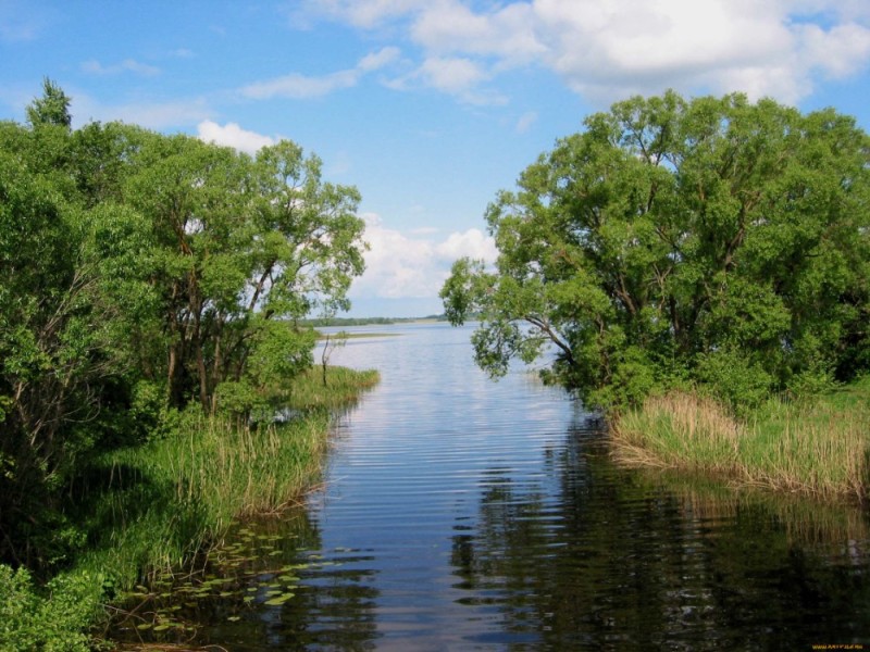 Create meme: an island on the river, river view, a river landscape 