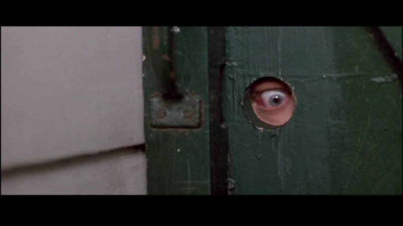 Create meme: a gap in the fence, a hole in the fence, Peeping through the keyhole