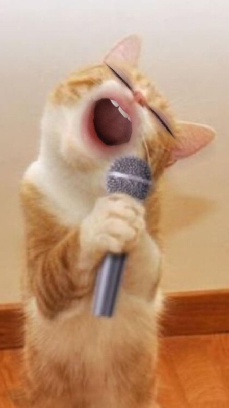 Create meme: the cat sings into the microphone, singing cat , singing cat