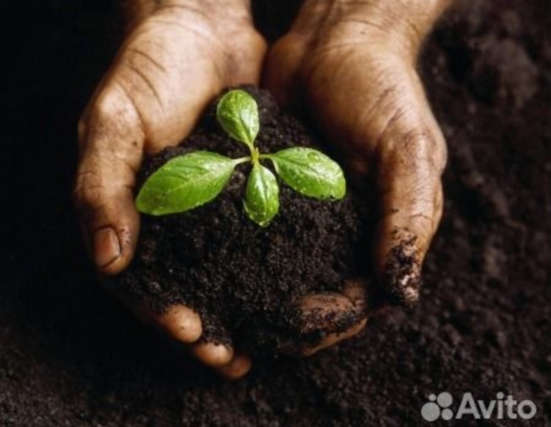 Create meme: soil fertility, soil pollution, The land is fertile