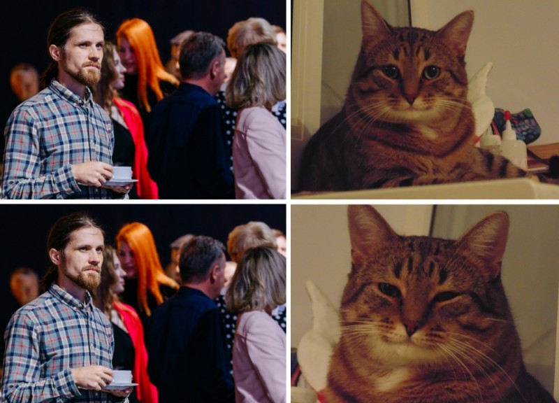 Create meme: smiling cat meme, The cat meme, cat 