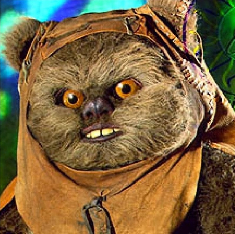 Create meme: Ewok star wars, Ewoks Star Wars, Ewok meme