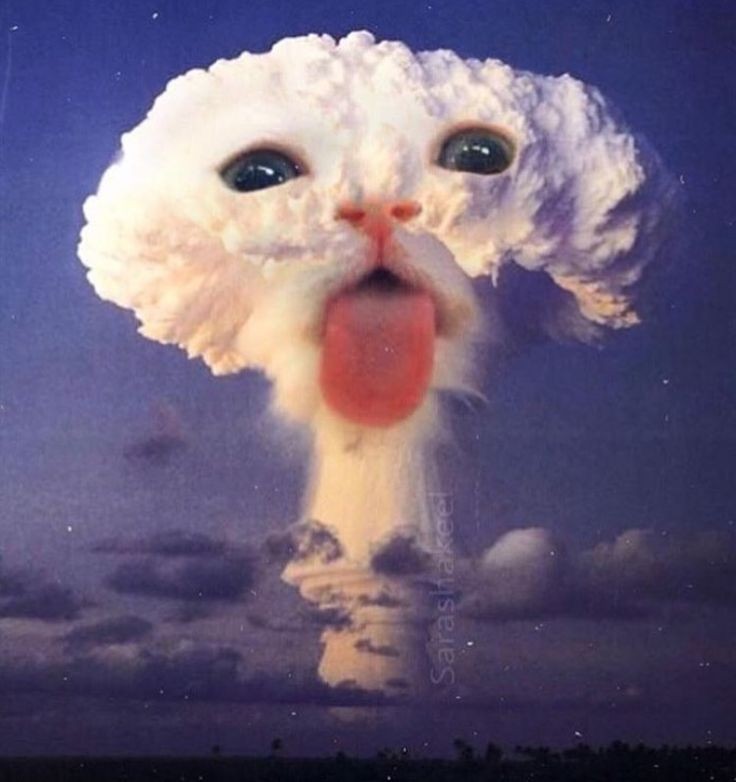 Create meme: nuclear explosions, nuclear mushroom, the explosion of the atomic 