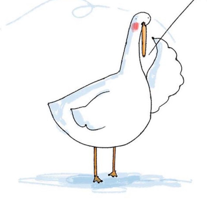 Create meme: goose for drawing, funny goose picture, goose cool