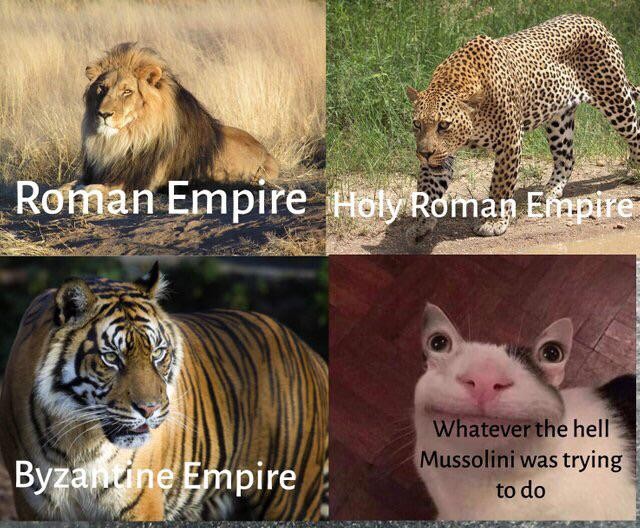 I Ordered A Cat They Sent Me A Lion Meme On Ballmemes Com