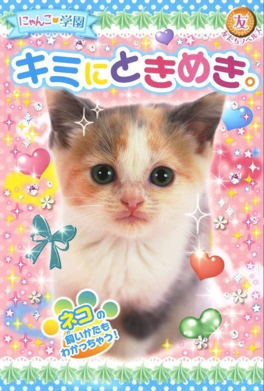 Create meme: adorable kittens, cat , cute cats 