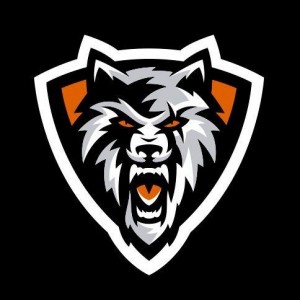 Создать мем: медведь логотип, lion esport logo, логотипы животных