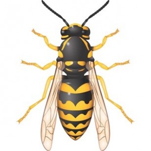 Create meme: OSA figure, wasp, hornet clipart