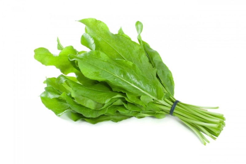 Create meme: sorrel, fresh sorrel, sorrel, 100g