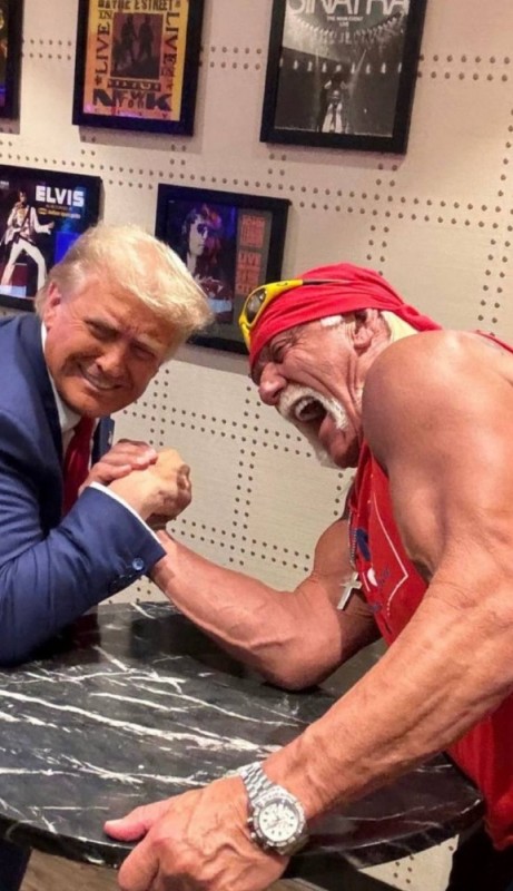 Create meme: Hulk Hogan and Donald Trump, wrestler hulk Hogan, Hulk Hogan and Trump