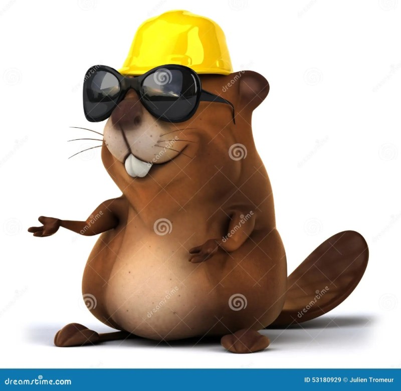 Create meme: beaver in a helmet, beaver with glasses, cartoon beaver