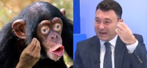 Create meme: chimpanzees, monkey with lips, meme monkey