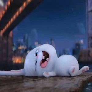 Create meme: the secret life of Pets, rabbit snowball