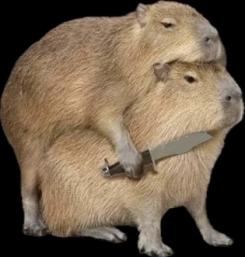 Create meme: big capybara guinea pig, angry capybara, capybara with a knife