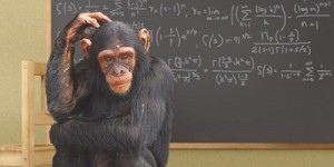 Create meme: math, Jessica monkey, chimpanzees