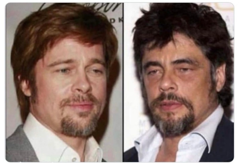 Create meme: Benicio Del Toro and Brad Pitt, benicio del toro, brad pitt 