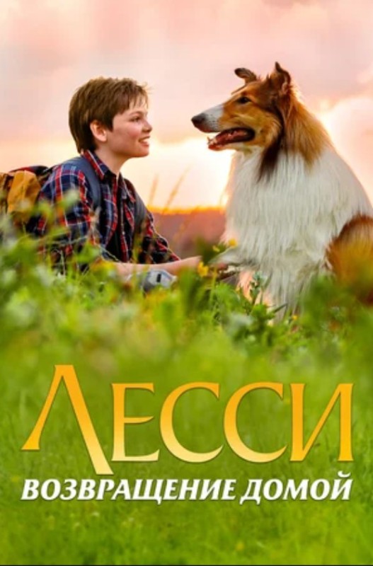 Create meme: Lassie's Homecoming movie, Lassie Homecoming, Lassie Homecoming 2020 movie