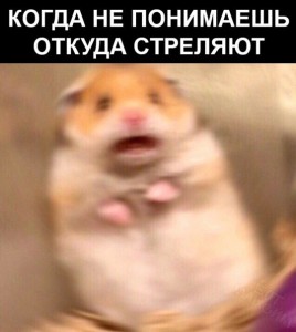 Испуганный хомяк с крестом