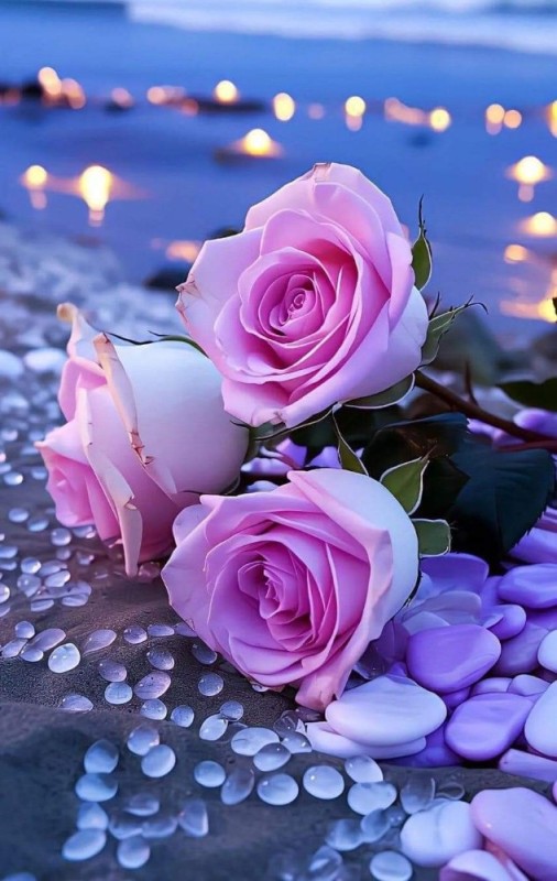 Create meme: flowers , beautiful roses , beautiful flowers 