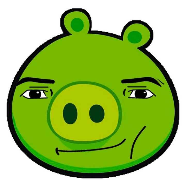 Create meme: the pig from angry birds, angry birds pig, pig angry birds