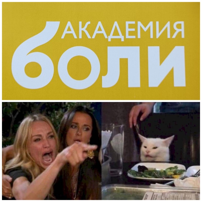 Create meme: meme with a cat and two women, memes with a cat and girls, girls and cat meme