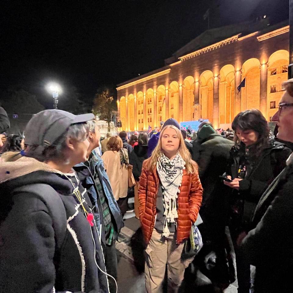 Create meme: Georgian Parliament Building, The Parliament of Georgia in Tbilisi, protests in Georgia