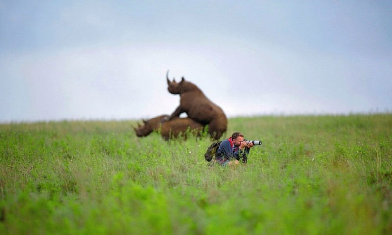 Create meme: Unity with nature is a joke, wild animals, Rhino 