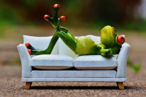 Создать мем: relaxation, bullfrog sofa, frog