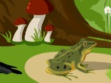Создать мем: лягушка на болоте для детей, зеленая лягушка, лягушка в пруду