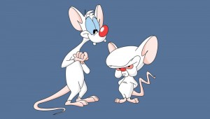 Create meme: pinky and brain yaoi, mouse from the cartoon pinky and brain, mouse pinky and brain