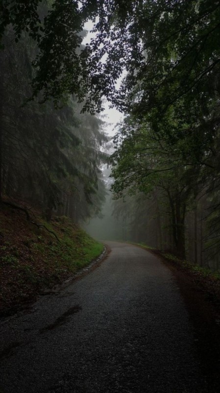 Create meme: beautiful road, fog road, background road in the forest