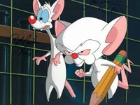 Create meme: pinky and the brain, cartoon pinky and brain, pinky and brain pictures