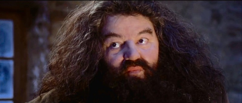 Create meme: Hagrid Harry Potter, Hagrid from Harry, hagrid the actor