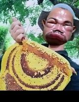 Create meme: Chinese beekeeper, The Chinese beekeeper, the bee's face
