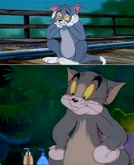 Create meme: Tom cat from Tom and Jerry, the cat from Tom and Jerry, Tom and Jerry sad fact